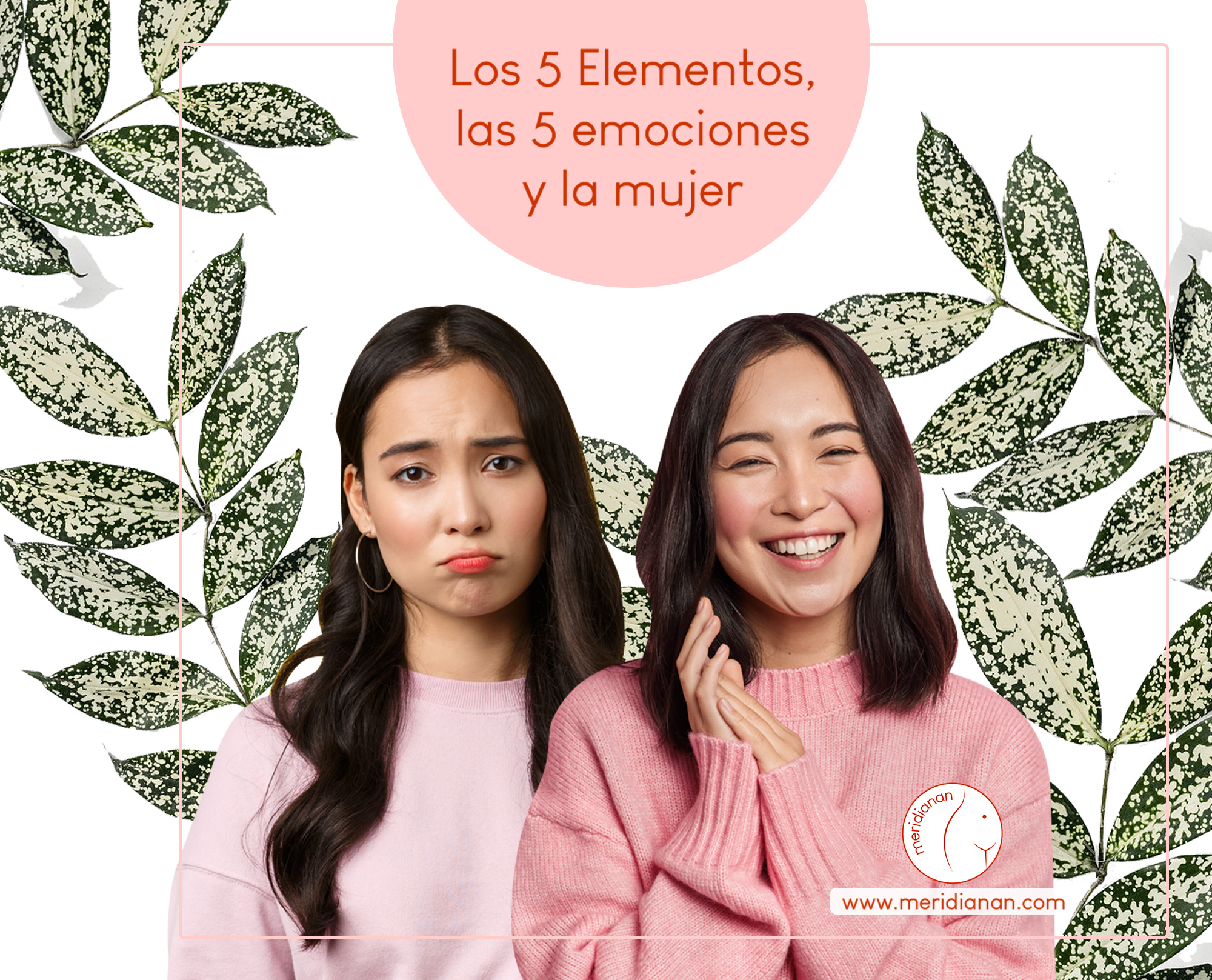 Escuela Meridianan – RRSS